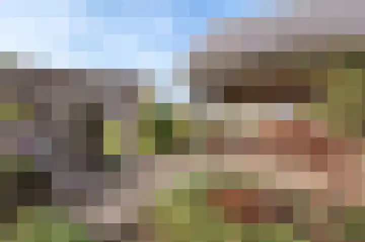Reygerboslaan 32 Giessen thumbnail 47