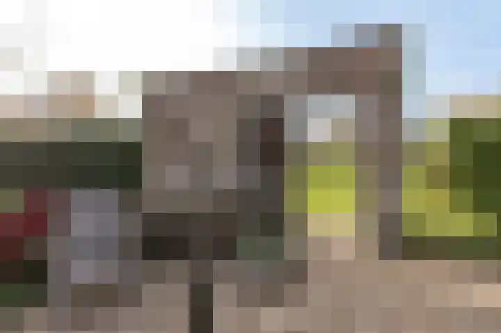 Reygerboslaan 32 Giessen thumbnail 49