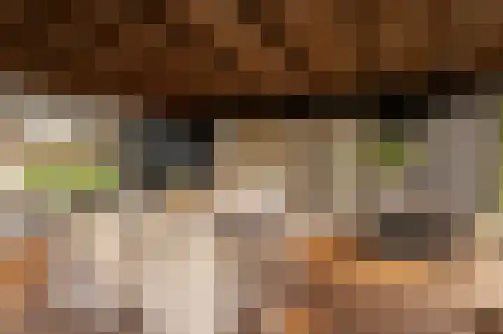 Reygerboslaan 32 Giessen thumbnail 51