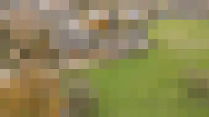 Reygerboslaan 32 Giessen thumbnail 6