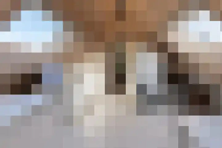 Reygerboslaan 32 Giessen thumbnail 68