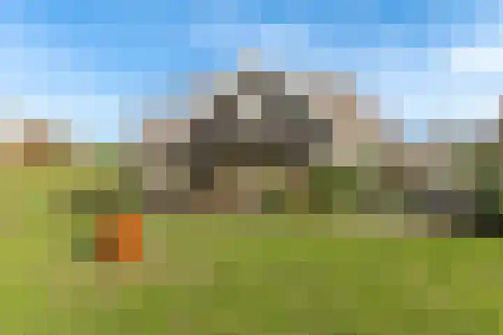 Reygerboslaan 32 Giessen thumbnail 71