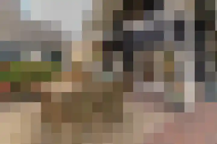 Reygerboslaan 32 Giessen thumbnail 74