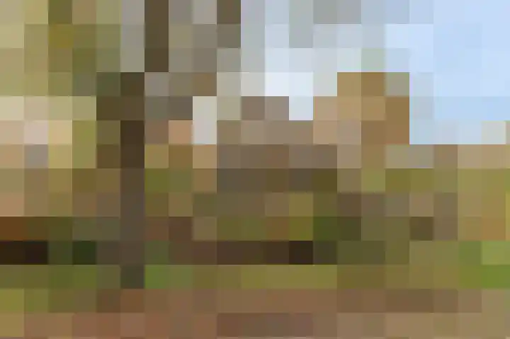 Reygerboslaan 32 Giessen thumbnail 76