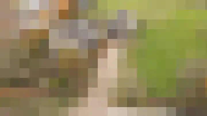 Reygerboslaan 32 Giessen thumbnail 83