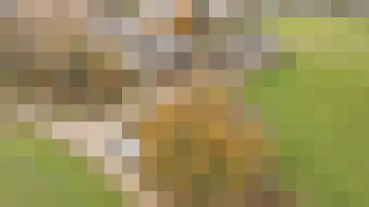 Reygerboslaan 32 Giessen thumbnail 84