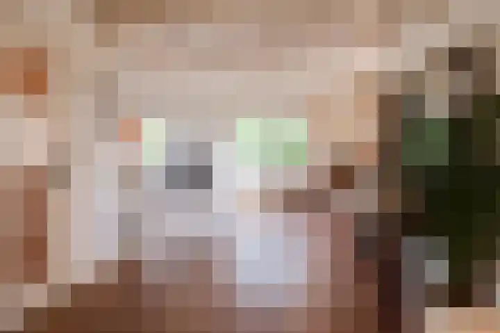 Reygerboslaan 32 Giessen thumbnail 9