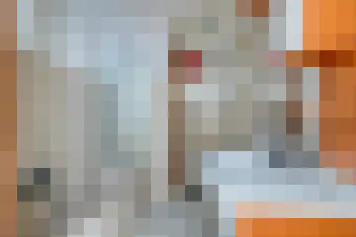 Reygerskreek 3 Hengstdijk thumbnail 11