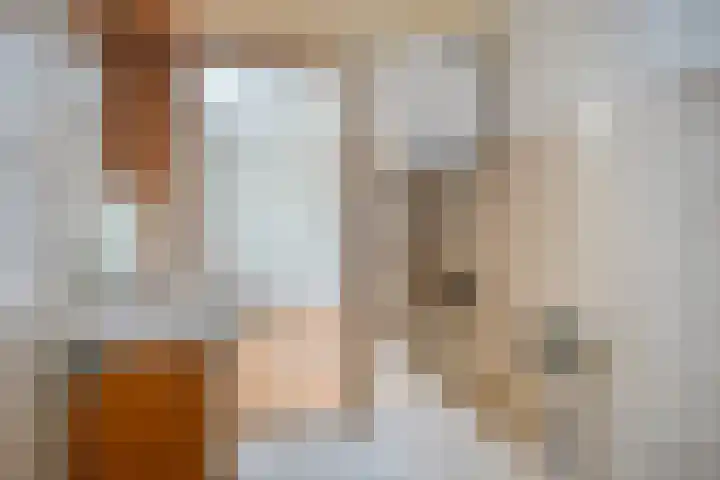 Reygerskreek 3 Hengstdijk thumbnail 13