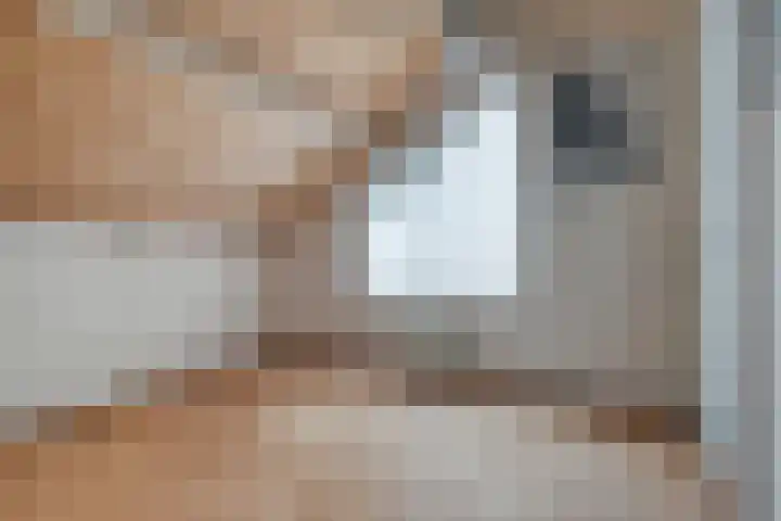 Reygerskreek 3 Hengstdijk thumbnail 19