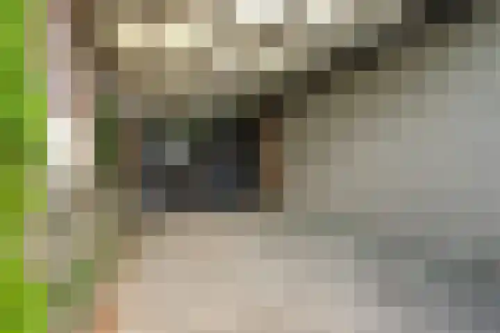 Reygerskreek 3 Hengstdijk thumbnail 20