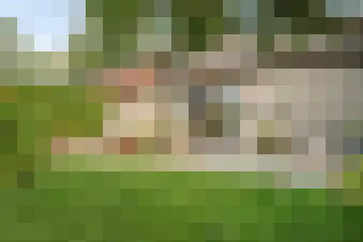 Reygerskreek 3 Hengstdijk thumbnail 23
