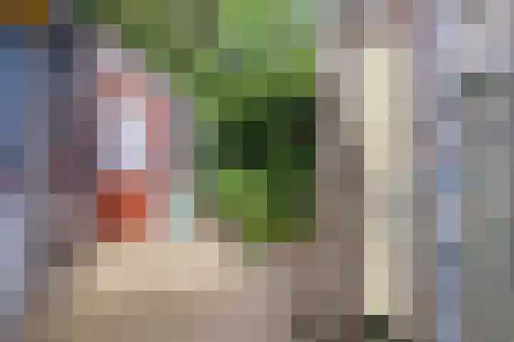 Reygerskreek 3 Hengstdijk thumbnail 24