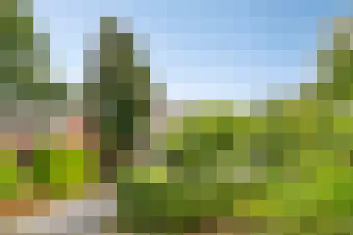 Reygerskreek 3 Hengstdijk thumbnail 5