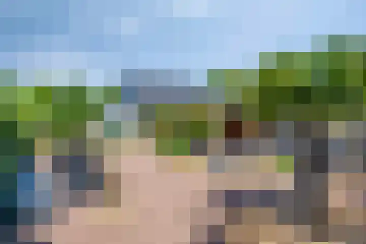 Reygerskreek 51 Hengstdijk thumbnail 25
