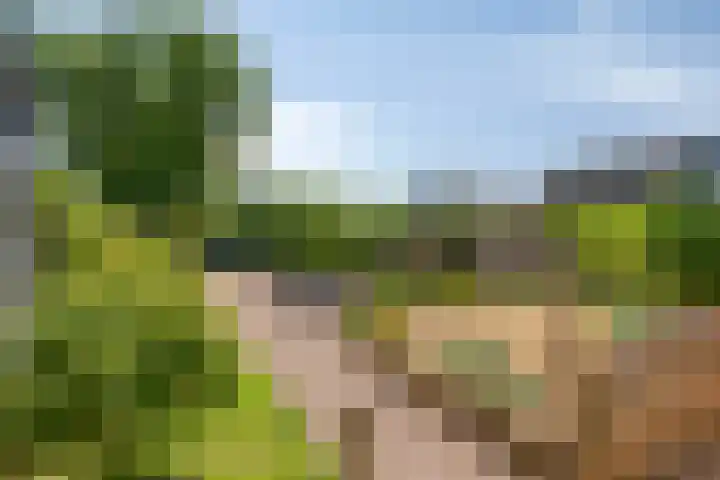 Reygerskreek 51 Hengstdijk thumbnail 4
