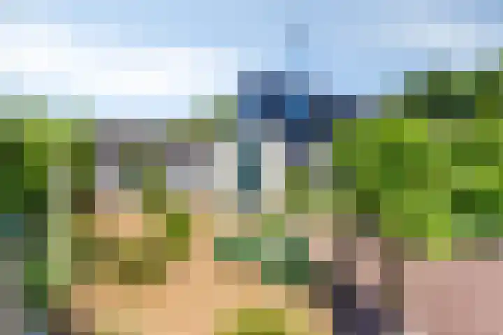 Reygerskreek 51 Hengstdijk thumbnail 40