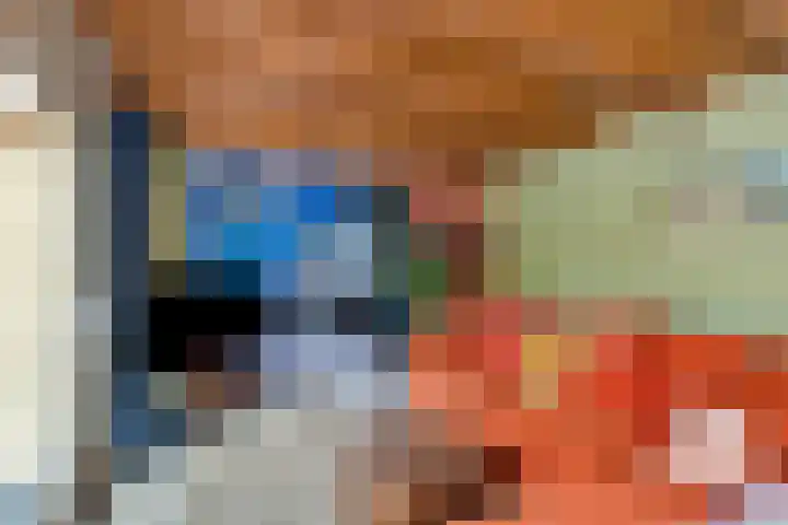 Reygerskreek 51 Hengstdijk thumbnail 8