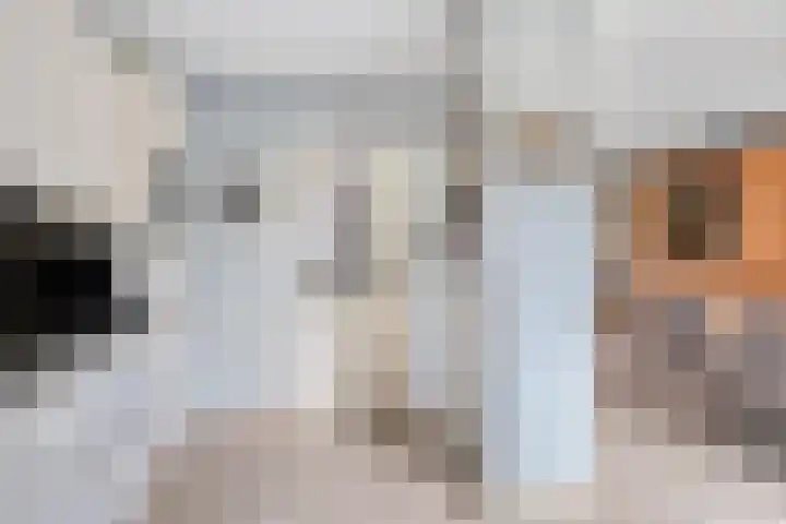 Rezzago 11 Vries thumbnail 10