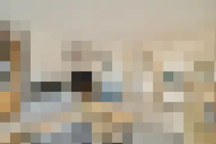 Rezzago 11 Vries thumbnail 13