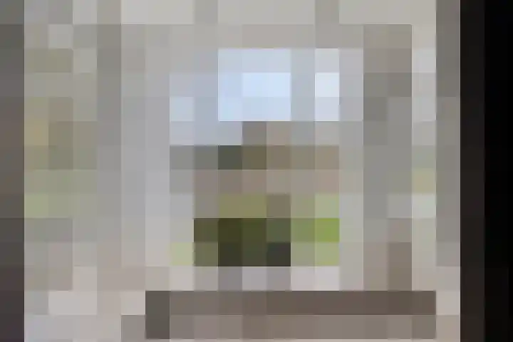 Rezzago 11 Vries thumbnail 15