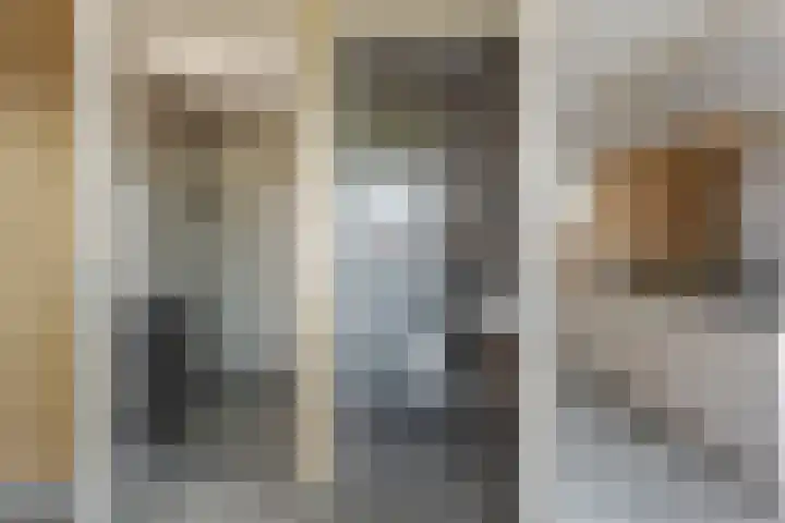 Rezzago 11 Vries thumbnail 16