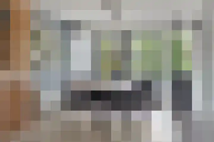 Rezzago 11 Vries thumbnail 18