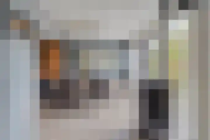 Rezzago 11 Vries thumbnail 20
