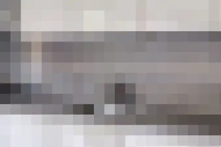 Rezzago 11 Vries thumbnail 23