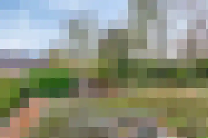 Rezzago 11 Vries thumbnail 26