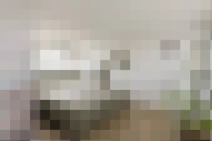 Rezzago 11 Vries thumbnail 40