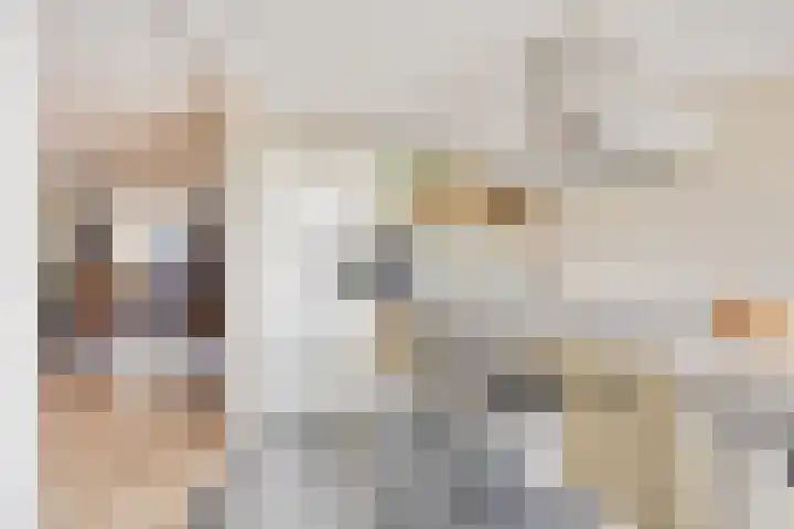 Rezzago 11 Vries thumbnail 44