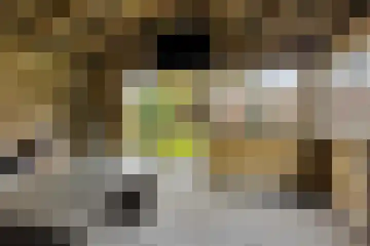 Rezzago 11 Vries thumbnail 47