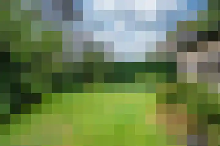 Rezzago 11 Vries thumbnail 48
