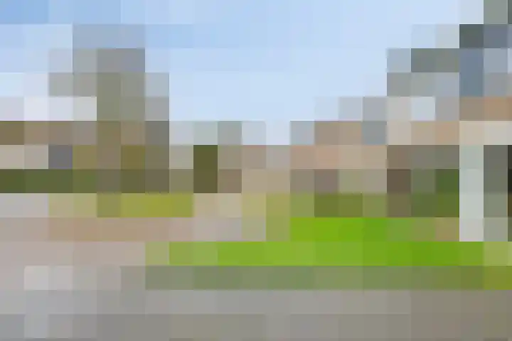 Rezzago 11 Vries thumbnail 51