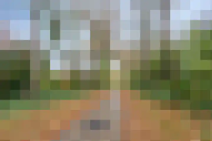 Rezzago 11 Vries thumbnail 53