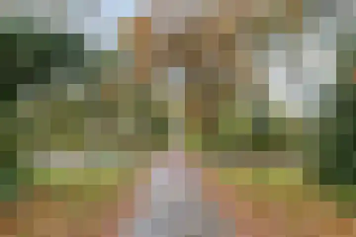 Rezzago 11 Vries thumbnail 54