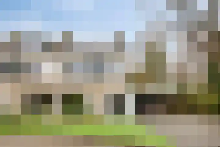 Rezzago 11 Vries thumbnail 6