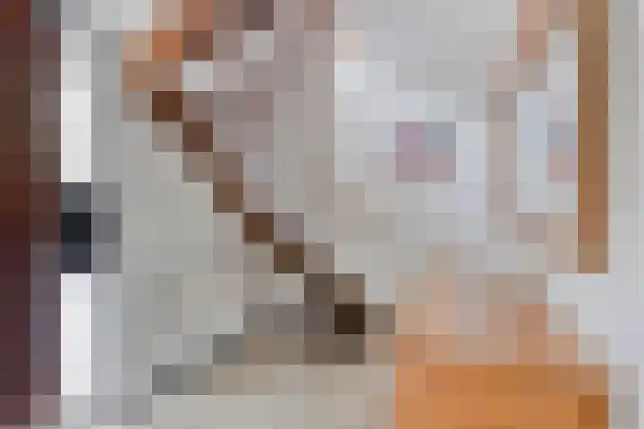 Rezzago 11 Vries thumbnail 8