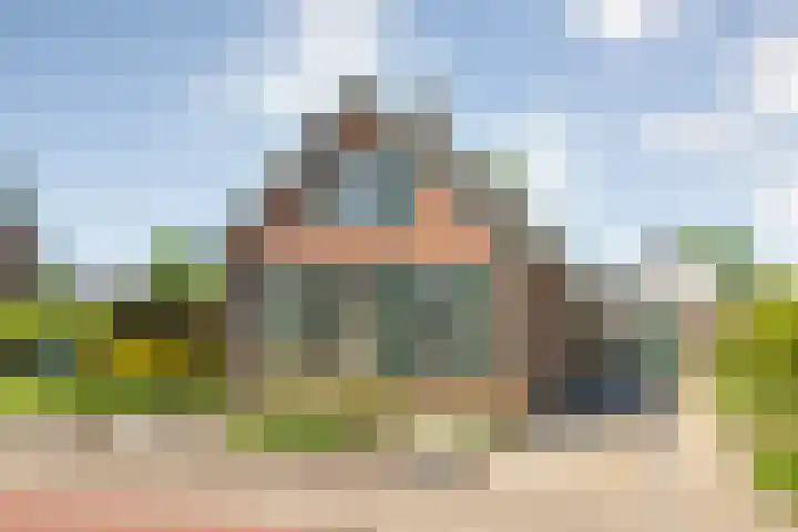 Rheezerend 118 en Dedemsvaart