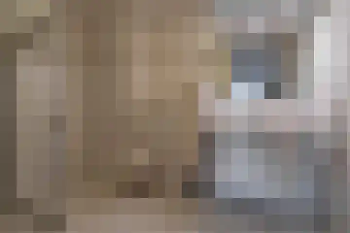Rhenendael 127 Rhenen thumbnail 14