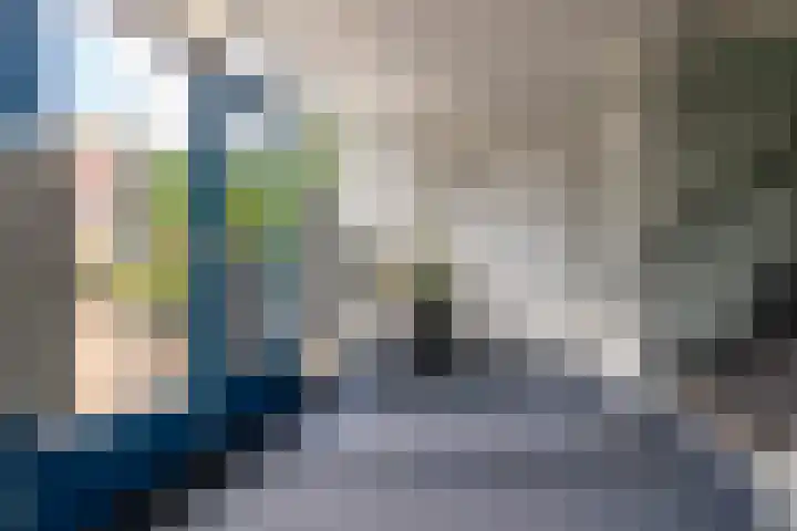 Rhenendael 127 Rhenen thumbnail 20