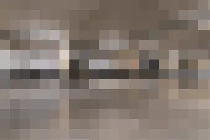 Rhenendael 127 Rhenen thumbnail 22