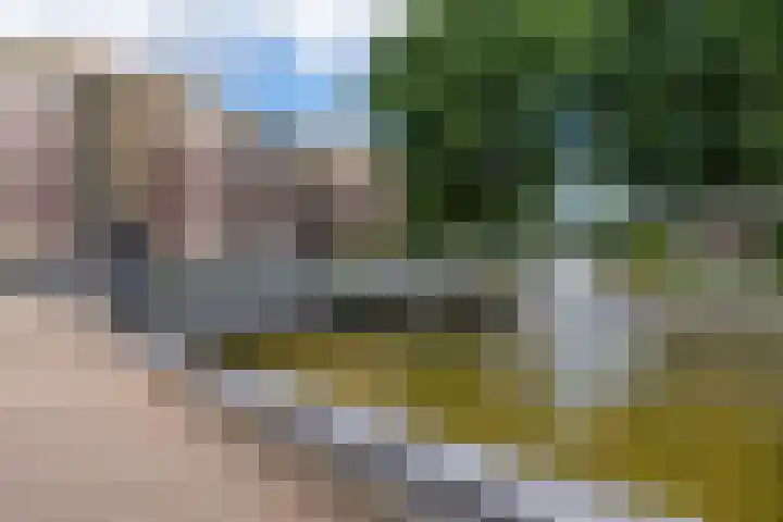 Rhenendael 127 Rhenen thumbnail 24