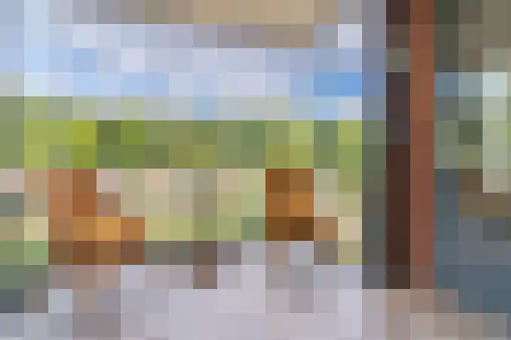 Rhenendael 127 Rhenen thumbnail 9
