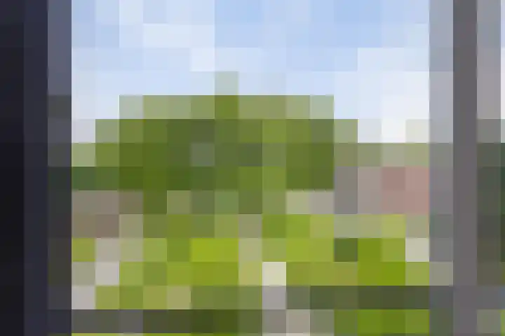 Rhenendael 140 Rhenen thumbnail 10