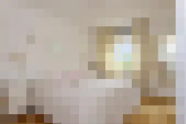 Rhenendael 140 Rhenen thumbnail 13