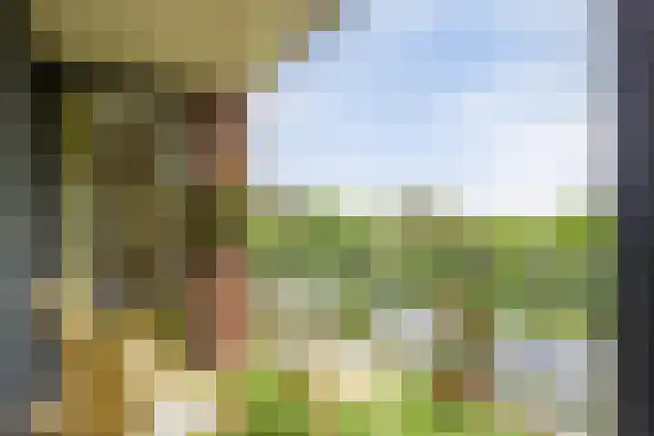 Rhenendael 140 Rhenen thumbnail 14