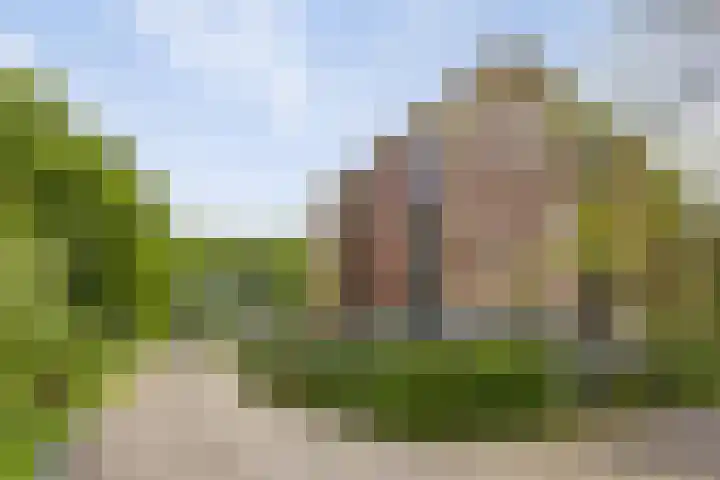 Rhenendael 140 Rhenen thumbnail 24