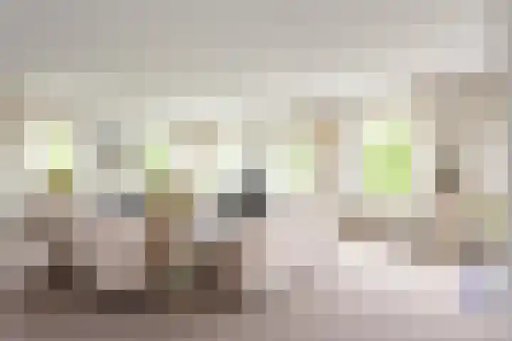 Rhenendael 140 Rhenen thumbnail 6